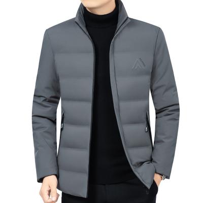 China 2020 Padded Collar Viable Design Stands Nylon Fabric Coats Winter Cotton Man Jacket Manufacturer for sale