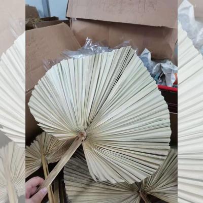 China Wedding Decor Artificial Flowers Pampas Grass Mothers Day Dried Flowers For Mothers Day Gifts QF2465 for sale