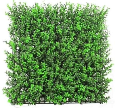 China Green Milan Lawn Guardrail Simulation Grass Silver Lysimachia Plants Simulation Plastic Anti-UV Lawn Wall Plant for sale