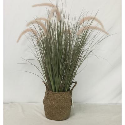 China 9 Heads Reed Grass Potted Dog Nordic Plastic/Woven Simulation Basket Straw Tail Grass Home Decoration Flowers Ornaments Real Plants for sale