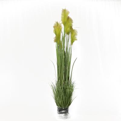 China Wholesale Price Eco - Friendly Non - Toxic Artificial Pampas Grass Accessories Daily Living Reeds for sale