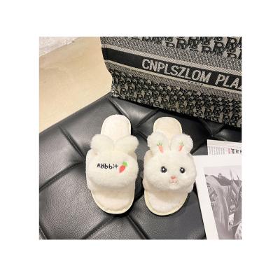 China OEM Breathable Functional Service For Women Outdoor Ladies Fashion Cartoon Water Proof Fur Flat Slippers for sale