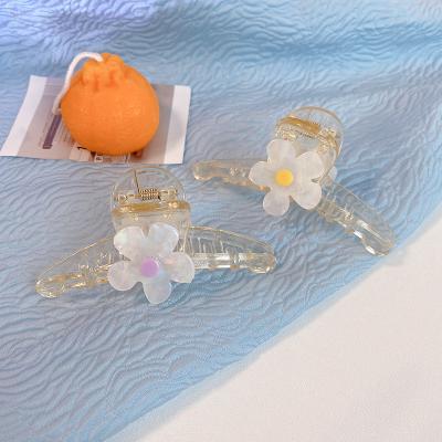 China 2021 New Fashionable Transparent Acrylic Flower Hairpin Women's Summer Back Broken Hair Main Bangs Clip Headwear for sale