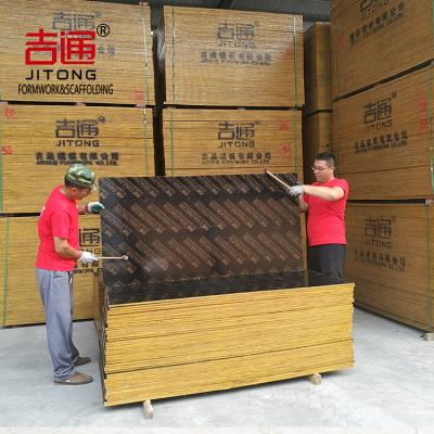 China +20 18mm black film plywood hardwood plywood with phenolic glue for sale