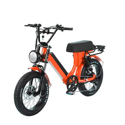 China Aluminum Alloy 750W Motor Style Electric Bike 20