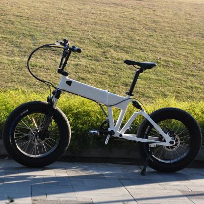 China Folding aluminum alloy OEM 500 750 1000 watt snow foldable big import electric bike from china for sale