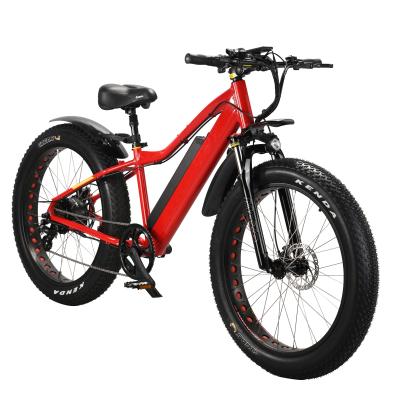 China Dropship Multifunctional Type Ebike 26