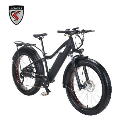 China 500 Snow Beach Fat Tire Aluminum Alloy Factory Factory Electric Bike 750W Chinese Mountain E-Bike for sale