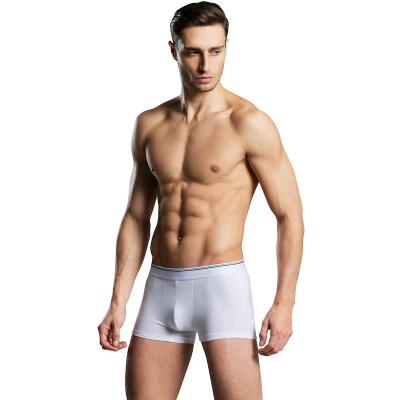 China Hot Selling New Style Antibacterial White Plus Size Sexy Seamless Briefs Boxer Viable Breathable Men Briefs Underwear for sale