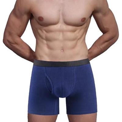 China High Quality Antibacterial All Men's Spandex/Cotton Men's Underwear OEM Briefs Fruit Print Boxers Boxershorts for sale