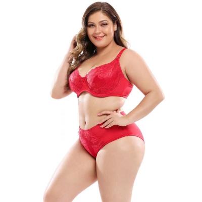 China Best Price QUICK DRY Women's Sexy Lingerie Custom Underwear Quality Lace Push Up Big Plus Size Bra Set 4Xl 5Xl 6Xl 7Xl for sale