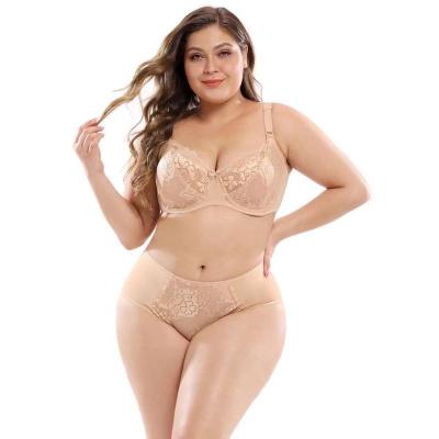 China Top fashion QUICK DRY plus size women's underwear and brief lingeries set women sexy bra for sale