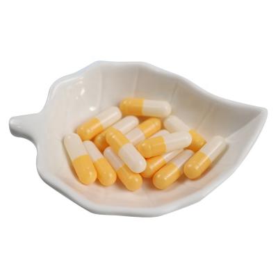 China Good Quality Pharmaceutical Size 00# Clear And White Pharmaceutical Grade Veggie Capsules HPMC Gelatin Hard Empty Capsules Ready To Ship for sale