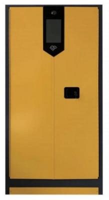 China Double Door Intelligent Safety Cabinet FW-WY810883 for Hazardous Chemicals with 120mm Thick Yellow Sand Landfill Cavity for sale