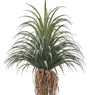 China Eco-friendly Green Decorative Artificial Dracaena Plant Hawaii Simulation Tree Plant KenStar Artificial Tree H220cm for sale