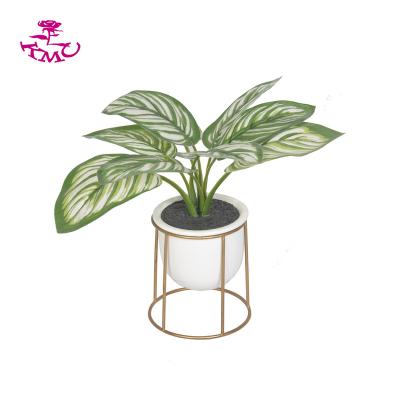 China Hot Selling Minimalist Artificial Greenery Zebra Leaf in Ceramic Pot with Stand for Home Decoration for sale