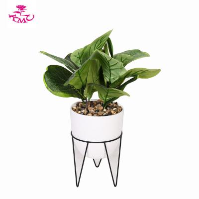 China Realistic hot sale indoor table decoration plant artificial violin leaf fig in plastic pot for sale