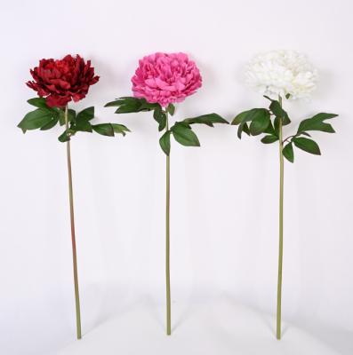 China Eco-friendly Factory Sale Artificial Flowers Plastic Single Peony Flower for sale