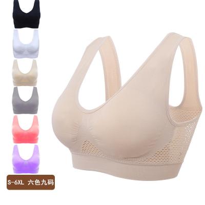 China QUICK DRY Women Padded Plus Size Seamless Yoga Underwear Sports Bra for sale