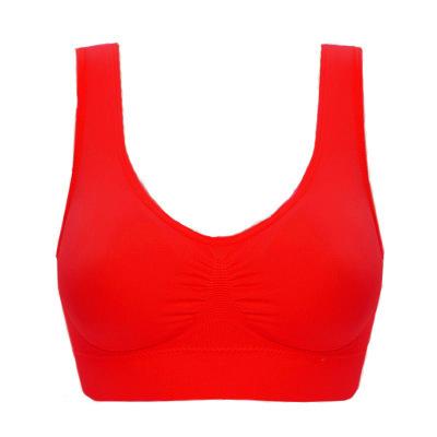 China QUICK DRY Women Seamless Radio Padded Plus Size Sports Bra for sale