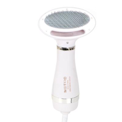 China Viable Hot Selling Portable 2 In 1 Mini Pet Hair Dryer Comb Cat And Dog Pet Hair Dryer Blowing Brush for sale