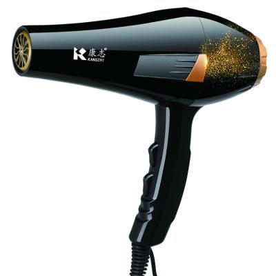 China 2021 1800W Newly Designed Salon Ionic Professional Hair Dryer Hot and Cold Air Blow Dryer for sale