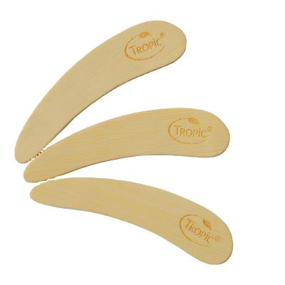 China Natural China China Style Packing Custom LOGO Facial Bamboo Makeup Spoon for sale