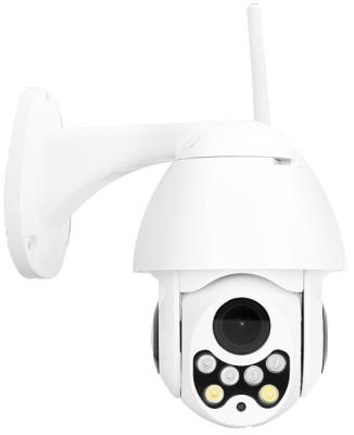 China Smart CCTV PTZ Camera Support ONVIF 3MP High Speed Vandal Proof Dome Camera for sale