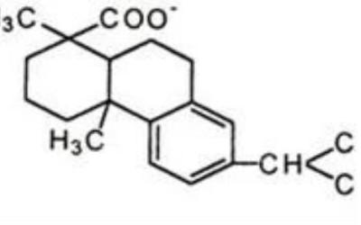 China CAS  10248-55-2 90% Leaf Curl Copper Abietate Fungicide Palm Trees for sale