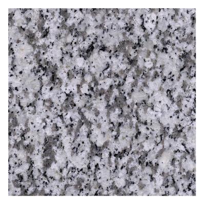 China China Granite Flooring Tiles Price Philippines 60x60 for sale