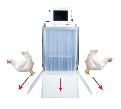 China Farms Chicken Breeder Duck Breeder Grading Machine Breeder Farm China Supplier Good Quality For Sale for sale