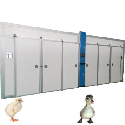 China Large Sized 60000 Hatcheries Egg Incubator For Farm Hatchery Poultry Eggs Hatching Setter for sale