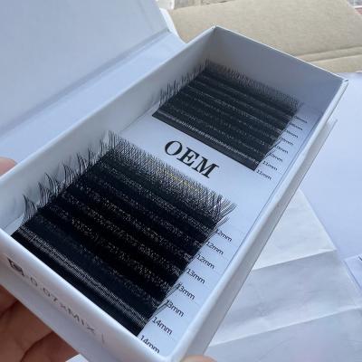 China Sensitive Custom YYshape YY Double Label Volume Lash Extension High Quality Lash Extension For YY Eyelash Extension for sale