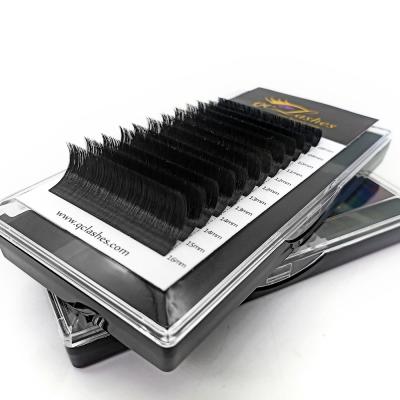 China Individual Extension Lash Supplies Individual Easy Fan Professional Tray Eyelash Extension Products Sensitive Fast Growing Eyelash for sale