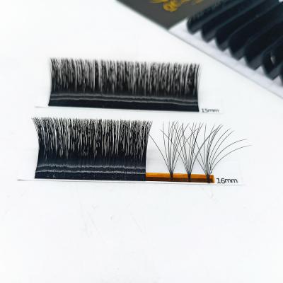 China Individual Lashes Natural High Quality Silk Mink Lashes Fan Eyelash Easy Blooming Extension for sale