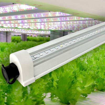 China Seed Starting Best Selling LED VEG Indoor Flower Fruit LED Grow Light 2ft 3ft 4ft LED T8 Grow Light Waterproof For Tissue Growing for sale