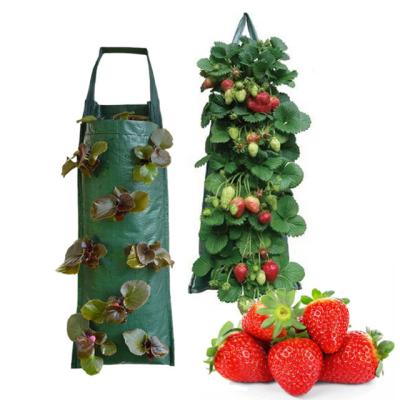 China PE Outdoor Vertical Grow Green Plant Plant Hanging Plant Strawberry Grow Bags With Hole for sale