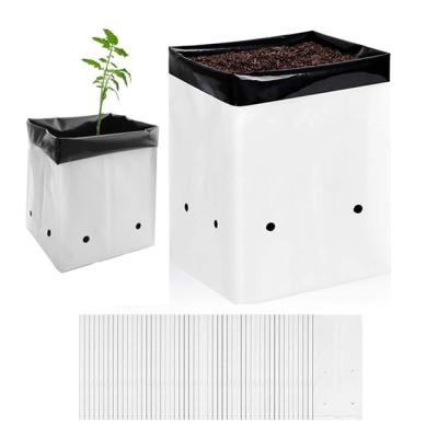 China Durable 0.5 To 30 Gallon Black White Plant Durable Plastic Grow Bags For Plant for sale