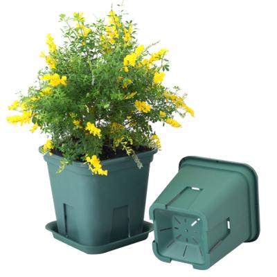 China Durable Wholesale Square Green Plastic Plant Flower Pots With Tray For Plants for sale