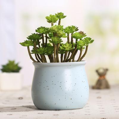 China Office Modern Modern Garden Decor Small Ceramic Macaroon Pots For Succulent for sale