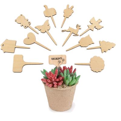 China Wholesale Durable Plant T Shape Plant Wooden Tag for sale