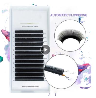 China Natural Long Volume Eyelash Extension Curl Cilia Automatic Flowering False Eyelash Mixed Size 8-15mm C/D for sale