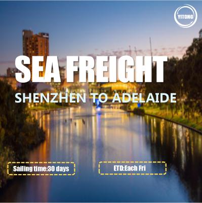 China International Sea Freight Shipping Shenzhen To Adelaide for sale