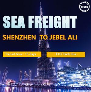 China International Sea Freight from Shenzhen to Jabel Ali UAE for sale