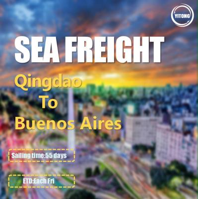 China 55 Days Global Sea Freight Logistics From Qingdao To Buenos Aires Argentina for sale