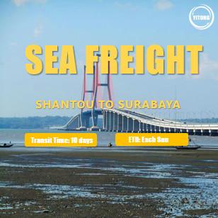 China International Sea Freight Shantou to Surabaya Indonesia for sale