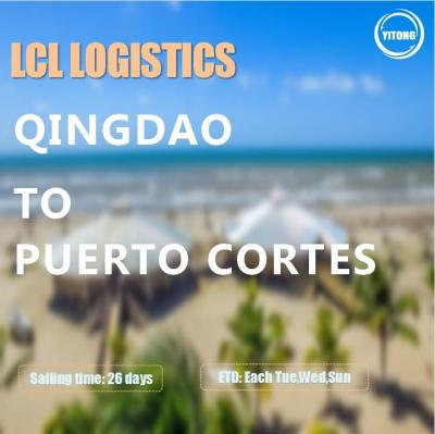 China Het Internationale Verschepen van ISEA LCL via Overzees van Qingdao aan Puerto Cortes Honduras Te koop