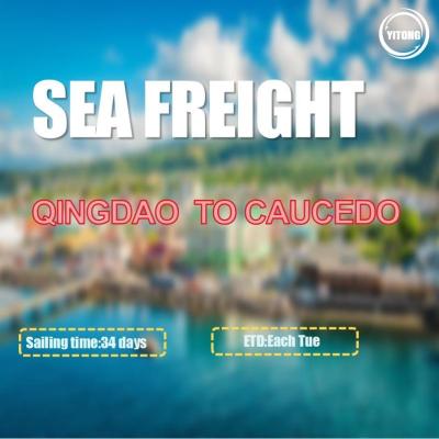 China 34 Days International Sea Freight Shipping From Qingdao To Caucedo Dominican for sale