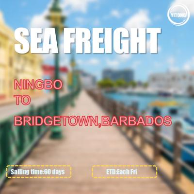 China Ningbo ao mar de Bridgetown Barbados transporta a transmissão de serviços através de Kingston à venda