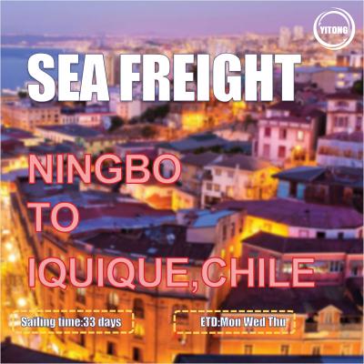 China Ningbo To Iquique Chile Global Ocean Shipping International Freight Forwarder 30 Days for sale